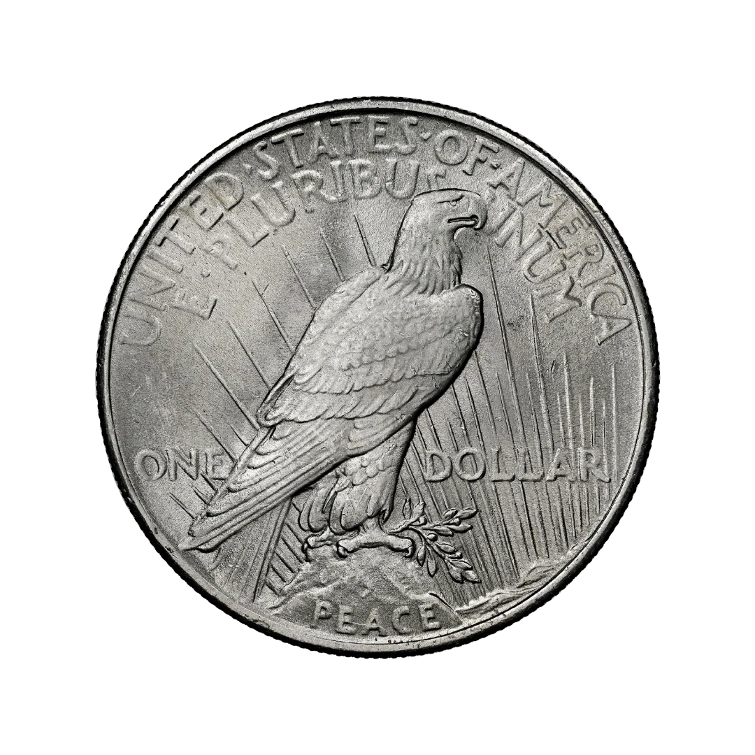 1 Dollar "Peace Dollar" - Image 2